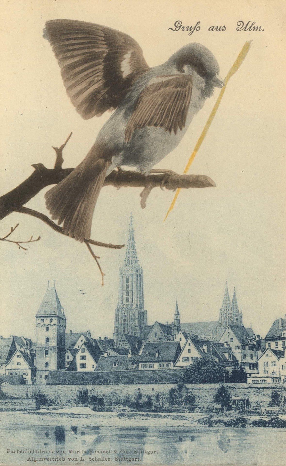 Ulm